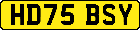 HD75BSY