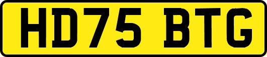 HD75BTG