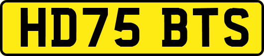 HD75BTS