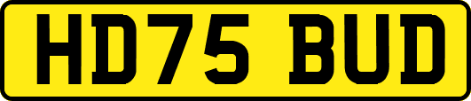 HD75BUD