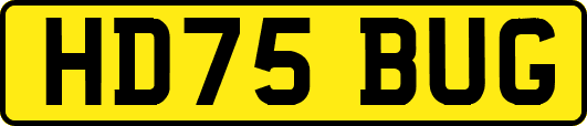 HD75BUG