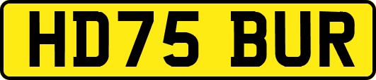 HD75BUR