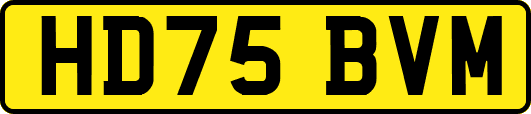 HD75BVM
