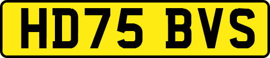 HD75BVS