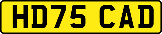 HD75CAD