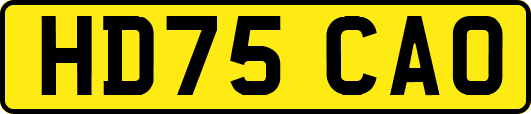 HD75CAO