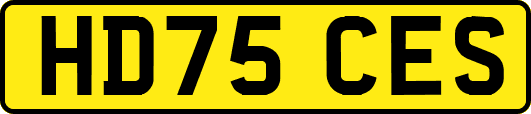 HD75CES