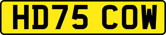 HD75COW