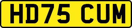 HD75CUM