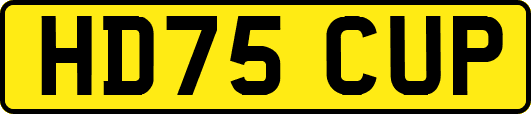 HD75CUP