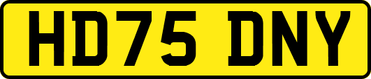 HD75DNY