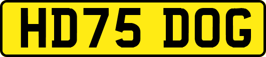 HD75DOG