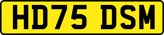 HD75DSM
