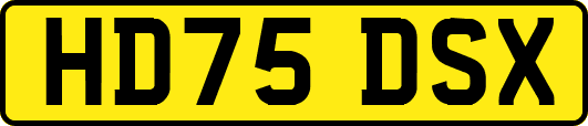HD75DSX