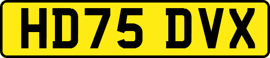 HD75DVX