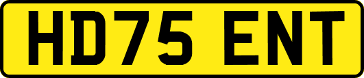 HD75ENT
