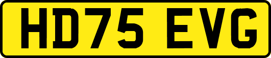 HD75EVG