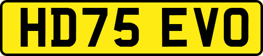 HD75EVO