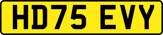 HD75EVY