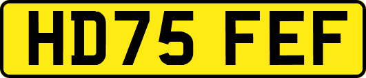 HD75FEF