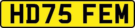 HD75FEM