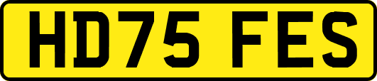 HD75FES