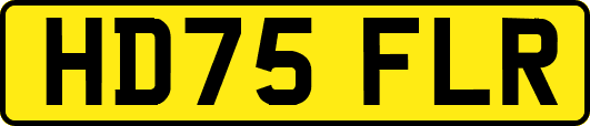 HD75FLR