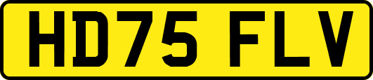 HD75FLV