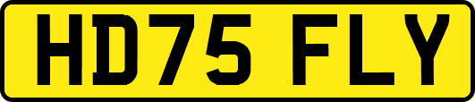 HD75FLY
