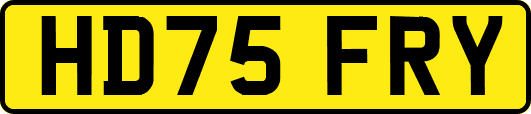 HD75FRY