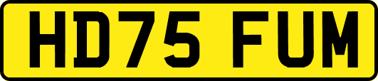 HD75FUM