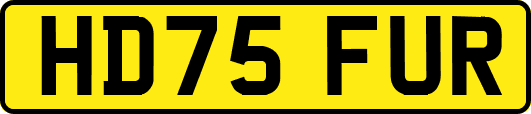 HD75FUR