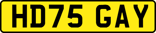 HD75GAY