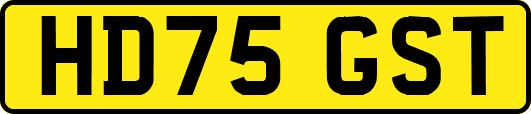 HD75GST
