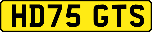 HD75GTS
