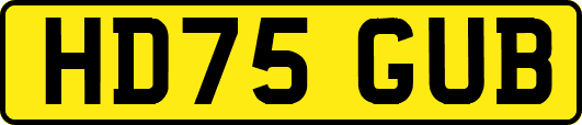 HD75GUB