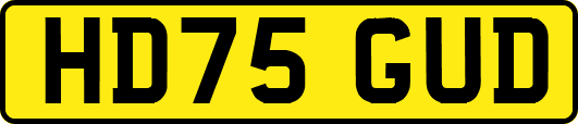 HD75GUD