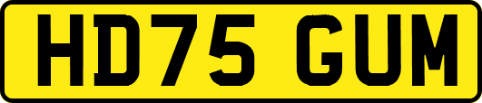 HD75GUM