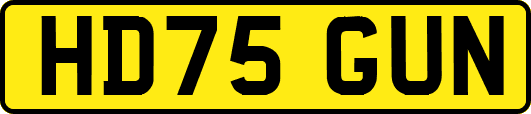 HD75GUN