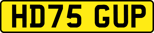HD75GUP