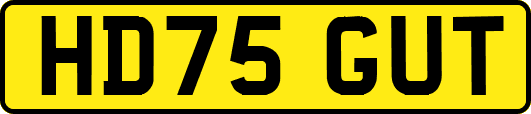 HD75GUT