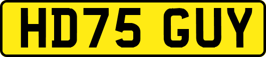 HD75GUY