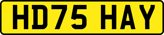 HD75HAY