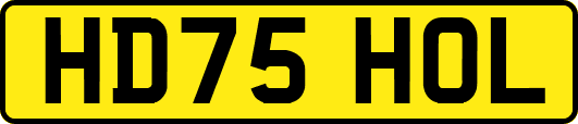 HD75HOL