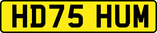 HD75HUM