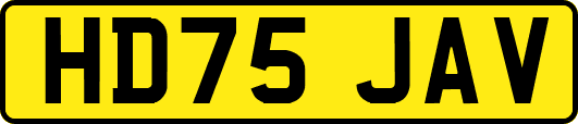 HD75JAV