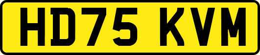 HD75KVM