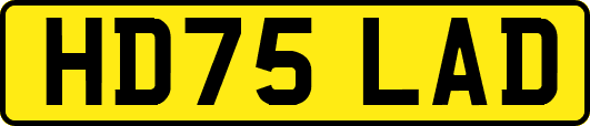 HD75LAD