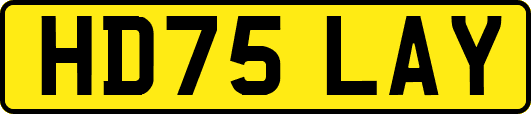 HD75LAY