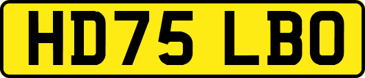 HD75LBO